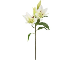 Home4You Dirbtinė gėlė GARDEN H75cm, balta lelija