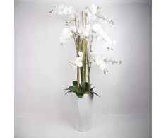 Home4You Dirbtinė orchidėja 132 cm balta
