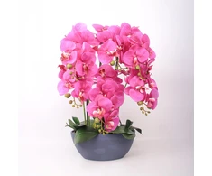 Home4You Dirbtinė orchidėja, kompozicija, 64 cm, tamsiai rožinė