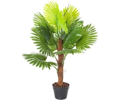 Home4You Žalias augalas FAN PALM H100cm