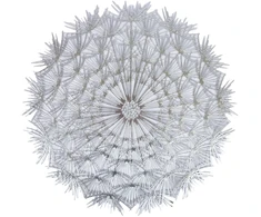 Home4You Kilimėlis DANDELION D38cm, sidabrinis