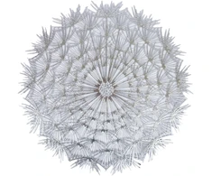 Fotelis Home4You Kilimėlis DANDELION D38cm, sidabrinis