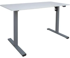 Home4You Rašomasis stalas ERGO OPTIMAL 1 variklis 120x60 cm, Spalva: balta/pilka
