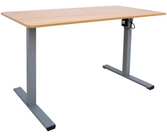 Home4You Rašomasis stalas ERGO OPTIMAL su 1 varikliu, 120x60 cm, ąžuolo/pilkos spalvos
