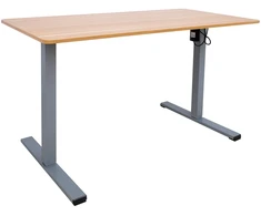Home4You Rašomasis stalas ERGO OPTIMAL su 1 varikliu, 120x60 cm, ąžuolo/pilkos spalvos