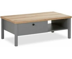 Homestyle4U Kavos staliukas, 110x40,5x60 cm, pilka