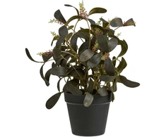 House Nordic Dirbtinis augalas 35 cm žalias, PE plastikas