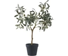 House Nordic Dirbtinis augalas, Alyvmedis, A:61 cm, Žalias.