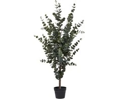 House Nordic Dirbtinis augalas, Eukalipto medis, 120 cm, Žalias