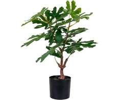 House Nordic Dirbtinis augalas, Figmedis, A:60 cm, Žalias