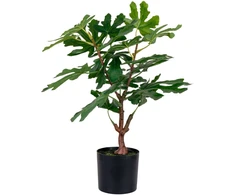 House Nordic Dirbtinis augalas, Figmedis, A:60 cm, Žalias