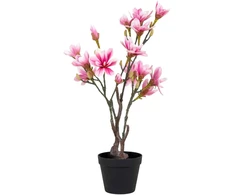 House Nordic Dirbtinis augalas, Magnolijos medis, A:74 cm, Rosa