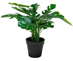 House Nordic Dirbtinis augalas, Monstera, A: 45 cm, Žalias