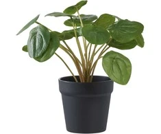 House Nordic Dirbtinis augalas, Pelia, A: 28 cm, Žalias
