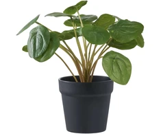House Nordic Dirbtinis augalas, Pelia, A: 28 cm, Žalias
