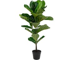 House Nordic Dirbtinis augalas, Smėlio figmedis, A: 100 cm, Žalias