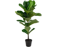 House Nordic Dirbtinis augalas, Smėlio figmedis, A: 100 cm, Žalias