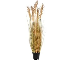 House Nordic Dirbtinis augalas, Sorghumo žolė, A:110 cm, Žalia