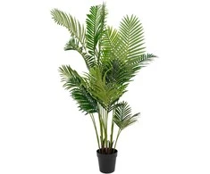 House Nordic Dirbtinis palmės medis, Areka, Aukštis: 175 cm, Žalias