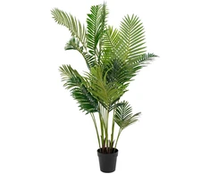 House Nordic Dirbtinis palmės medis, Areka, Aukštis: 175 cm, Žalias