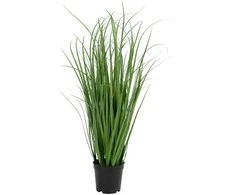 House Nordic Dirbtinis žolės kilimas, Poa, A: 68 cm, Žalia