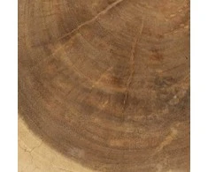 Bazaar Kėdutė, Tribe, 0,3x0,3x0,4 m, Balta
