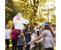 Kodustaar Vienaragio pinjata