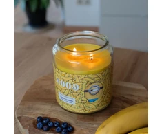 Minions Kvapni žvakė, Minionai, 510 g, Geltona