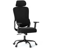 Promotions Biuro kėdė 71x72x125 cm juoda, ergonomiška