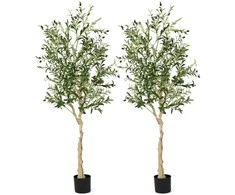Promotions Dirbtinių alyvmedžių rinkinys, 180 cm, žalia, plastikinis vazonas, namų dekoras