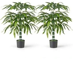 Promotions Dirbtinių bambukų medžių rinkinys, 2 vnt., 100 cm, žalia