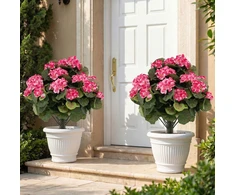 Promotions Dirbtinių pelargonijų rinkinys 57x33 cm rožinės spalvos šilko audinys