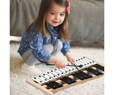 Promotions Glockenspiel, 27 natų, 43x24x4 cm, Juoda ir balta
