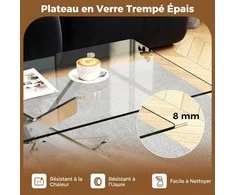 Promotions Kavos staliukas, 120x60x45.5 cm, sidabrinis, stiklinis stalviršis