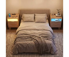 Promotions Naktinis staliukas su įkrovimo stotele ir LED apšvietimu 2 stalčiai 45x35x61,5 cm natūralus