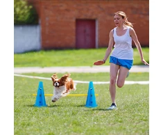 Relaxdays Agility kliūčių rinkinys, 18 dalių, mėlyna geltona