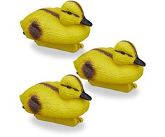 Kodustaar 3 tvenkinio ančiukų rinkinys