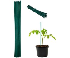 Kodustaar 50 augalų atraminių lazdelių rinkinys 30 cm