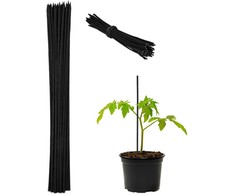 Kodustaar 50 augalų atraminių pagaliukų rinkinys 30 cm