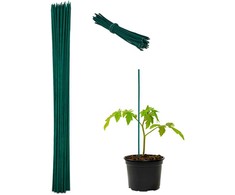 Kodustaar 50 augalų atraminių lazdelių rinkinys 60 cm