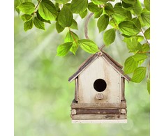 Kodustaar Dekoratyvinis paukščių namelis įvairių dizainų