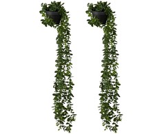 Kodustaar 2 dirbtinių kabančių augalų rinkinys