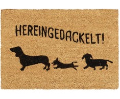 Kodustaar Kokoso pluošto durų kilimėlis "Hereingedackelt"