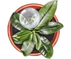 Kodustaar 5 laistymo rutuliukų rinkinys 250 ml