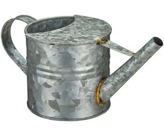 Kodustaar Metalinis laistytuvas