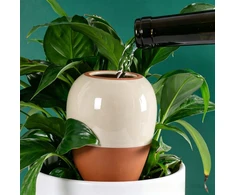 Relaxdays Molinis kūgis su dangteliu, 350 ml rinkinys