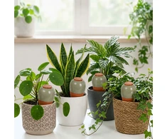 Relaxdays Molinis kūgis su dangteliu, 350 ml rinkinys