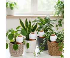 Relaxdays Molinis kūgis su dangteliu, 350 ml rinkinys