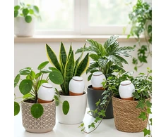 Relaxdays Molinis kūgis su dangteliu, 350 ml rinkinys