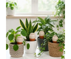Relaxdays Molinis kūgis su dangteliu, 350 ml rinkinys